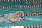 Swimming vs Babson  Wheaton College Swimming vs Babson College. - Photo By: KEITH NORDSTROM : Wheaton, Swimming, Babson